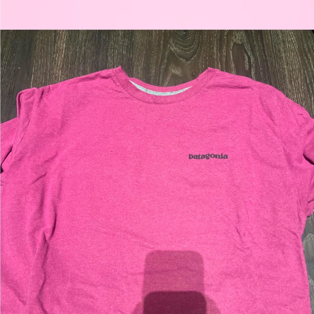Patagonia Men’s Pink T-Shirt